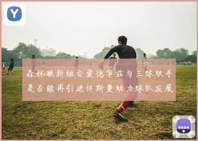 森林狼新组合爱德华兹与三球联手是否能再引进怀斯曼助力球队发展